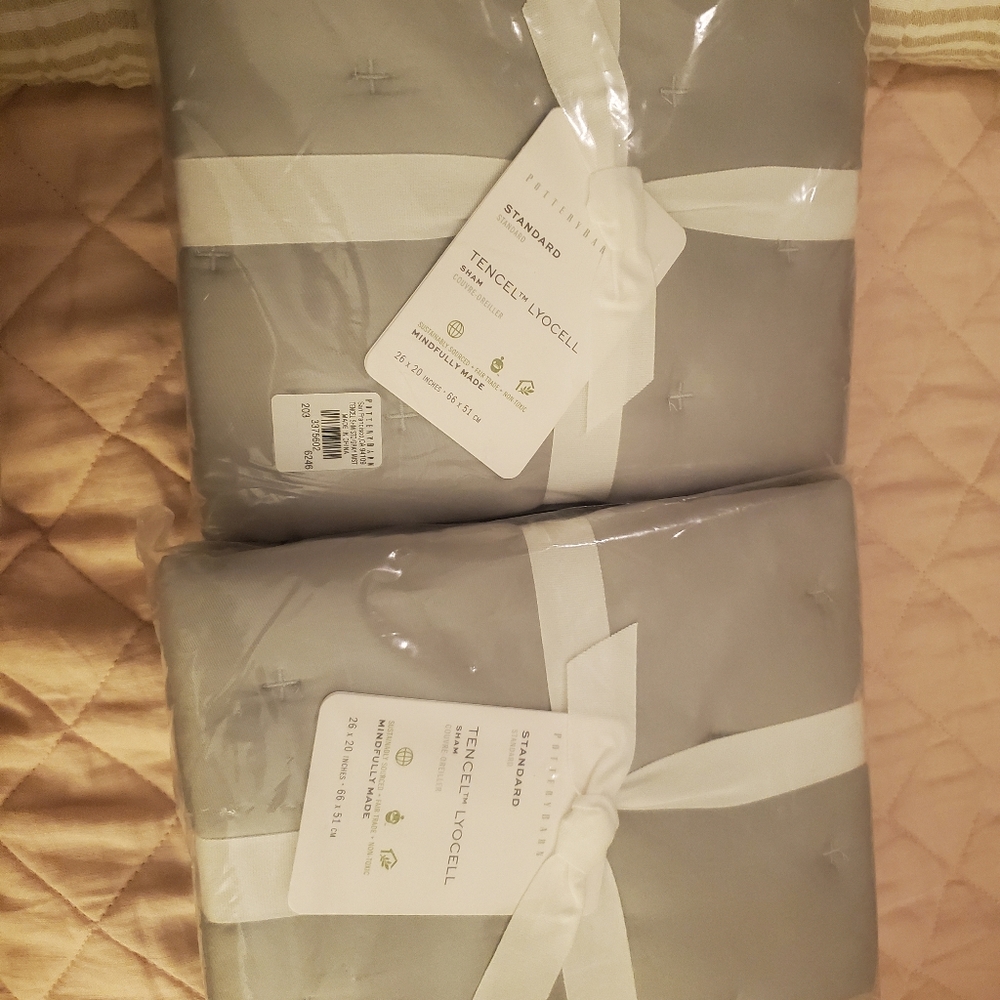 Pottery Barn Tencel Shams - Picture 5 of 5